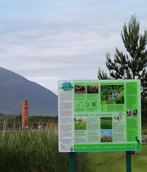 Eco Tours