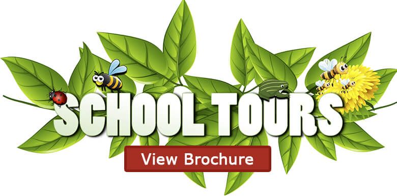 School Tour Brochure Button