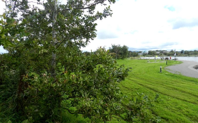 Biodiversity Mound