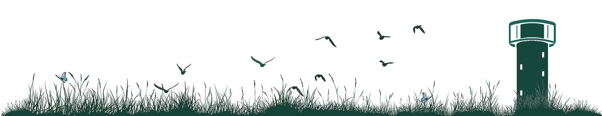grassline bottom