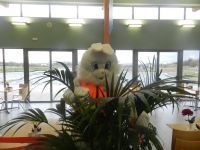 bunny and plant