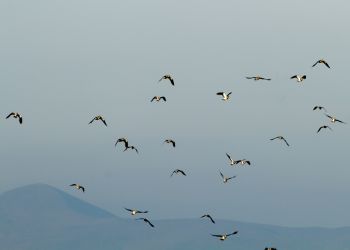 20120202 IMG 8892