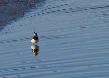 20120202 IMG 8900