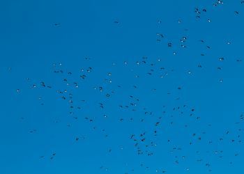 20120202 IMG 8940