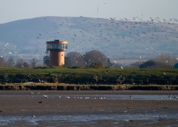 20120202 IMG 9087