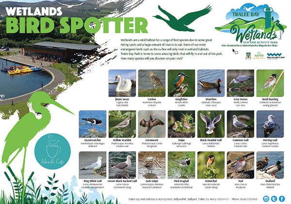 Bird Spotter Sheet 