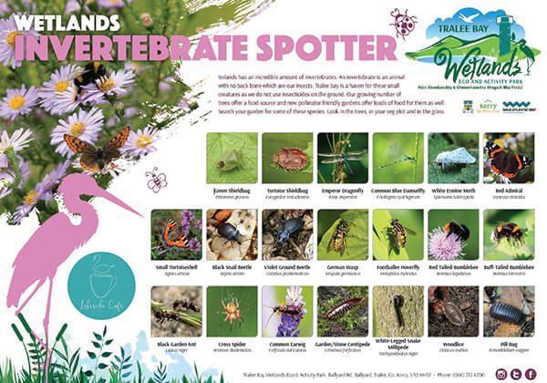 Invertebrate Spotter Sheet 