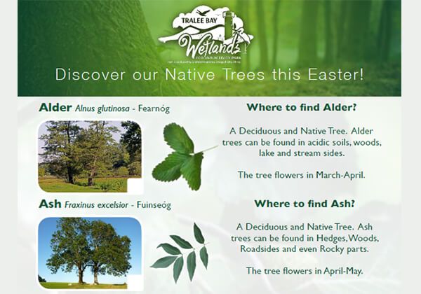 Native Trees Sheets