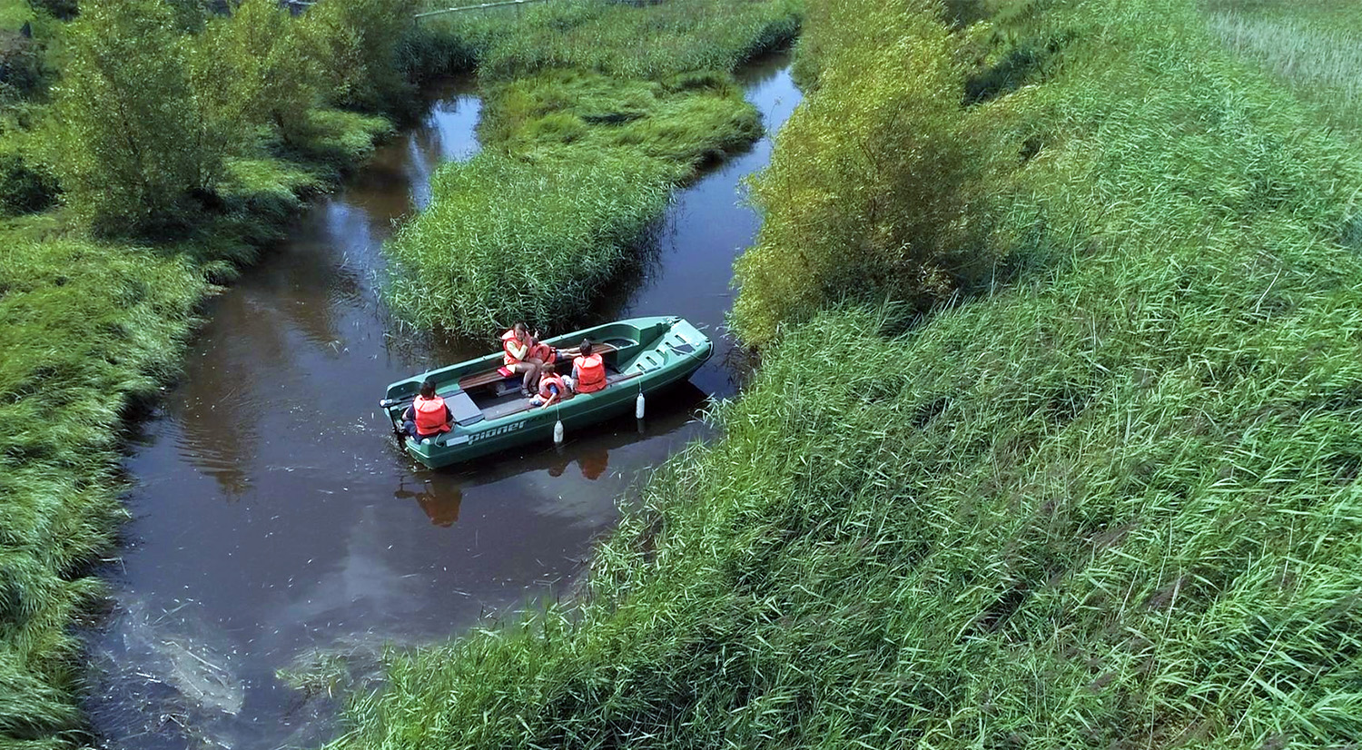 Boat Tours at Tralee Bay Wetlands