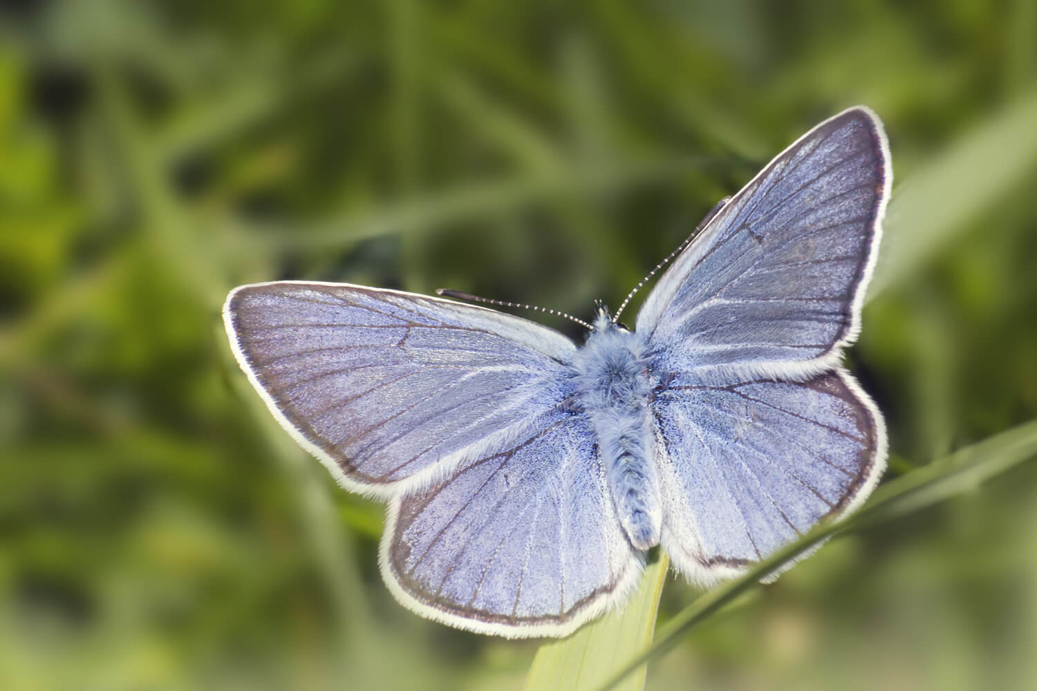 Scavanger Hunt & Sensory Trail 